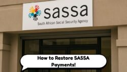 12,000 SASSA Grants Halted – Steps Beneficiaries Must Take to Restore Payments