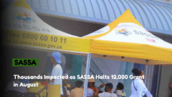 Thousands Impacted as SASSA Halts 12,000 Grants in August – Beneficiaries in All Provinces Ordered to Reinstate Payments